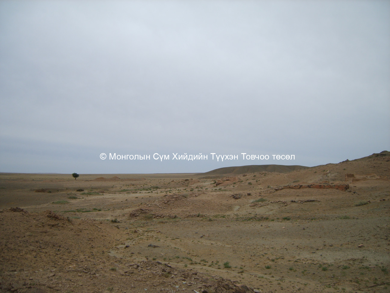 Зүүн талаас авсан